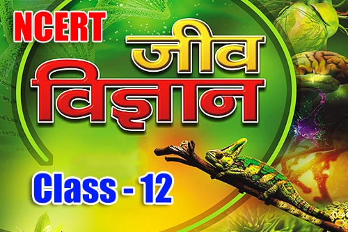 कक्षा 12 जीव विज्ञान NCERT बुक | Class 12 Biology NCERT Book