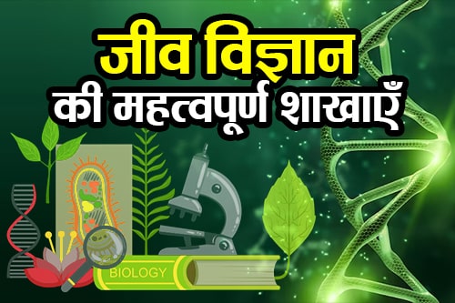 Biology की कुछ महत्वपूर्ण शाखाएँ - Some important branches of Biology