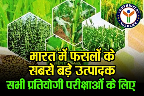 भारत में फसलों के सबसे बड़े उत्पादक (Largest producer of crops in India)