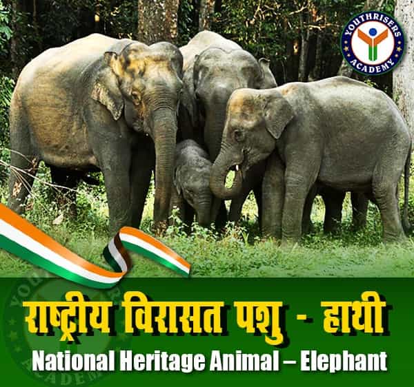 राष्ट्रीय विरासत पशु – हाथी (National Heritage Animal – Elephant)