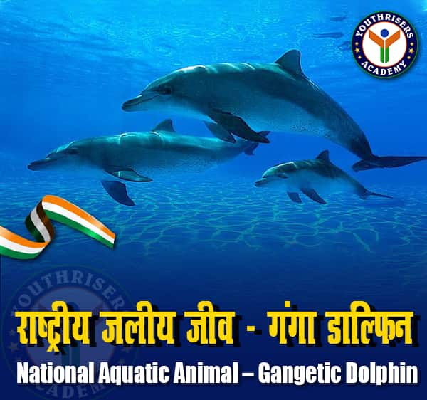 राष्ट्रीय जलीय जीव – गंगा डॉल्फिन (National Aquatic Animal – Gangetic Dolphin)