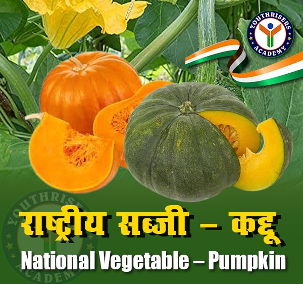 राष्ट्रीय सब्जी - कद्दू (National Vegetable - Pumpkin)