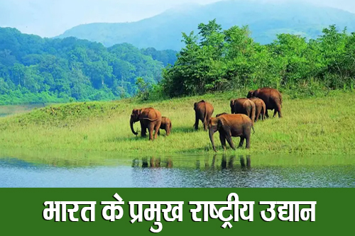 भारत के प्रमुख राष्ट्रीय उद्यान (Major National Parks of India)