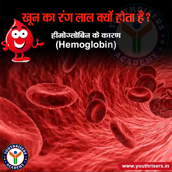 खून का रंग लाल क्यों होता है? Why is the color of blood red?