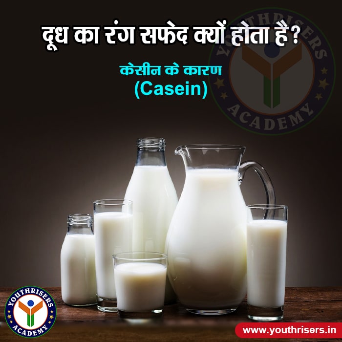 दूध का रंग सफेद क्यों होता है? Why is the color of milk white?