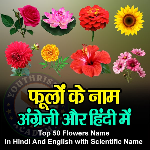 50 फूलों के नाम - इंग्लिश और हिंदी में Top 50 Flowers Name In Hindi And English with Scientific Name