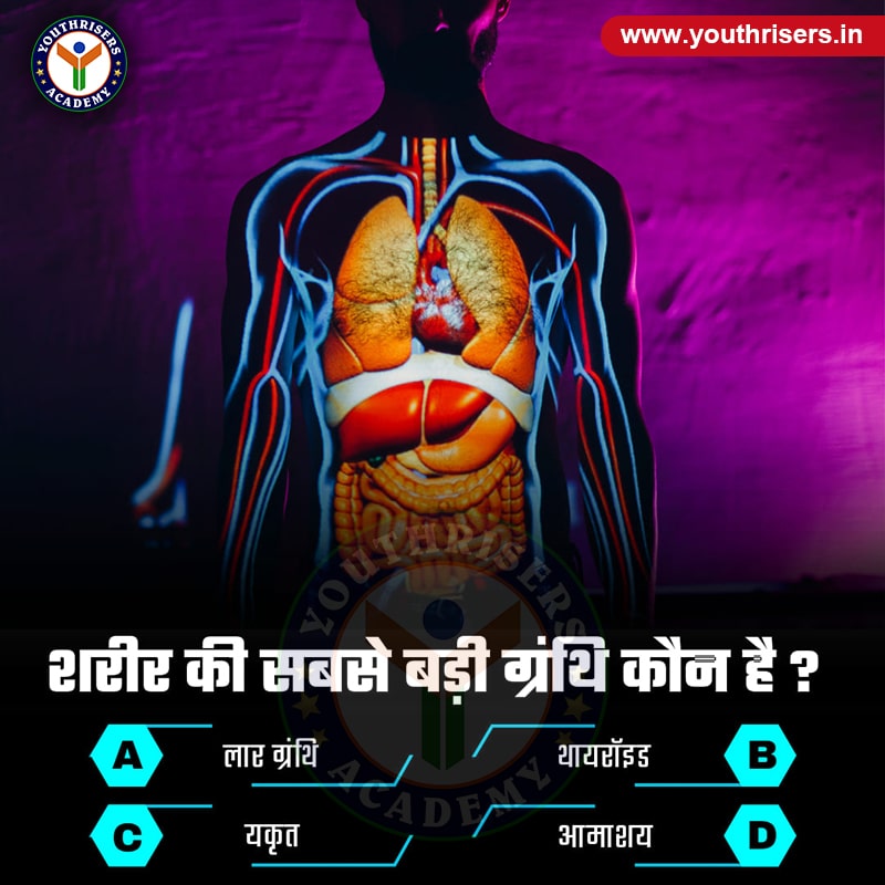 मानव शरीर की सबसे बड़ी ग्रंथि कौन-सी है? Which is the largest gland in the human body?