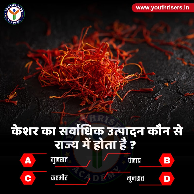 केसर का सर्वाधिक उत्पादन भारत के किस राज्य में होता है ? In which state of India is maximum production of saffron done?